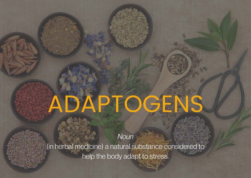 Adaptogens – Can They Relieve Stress?
