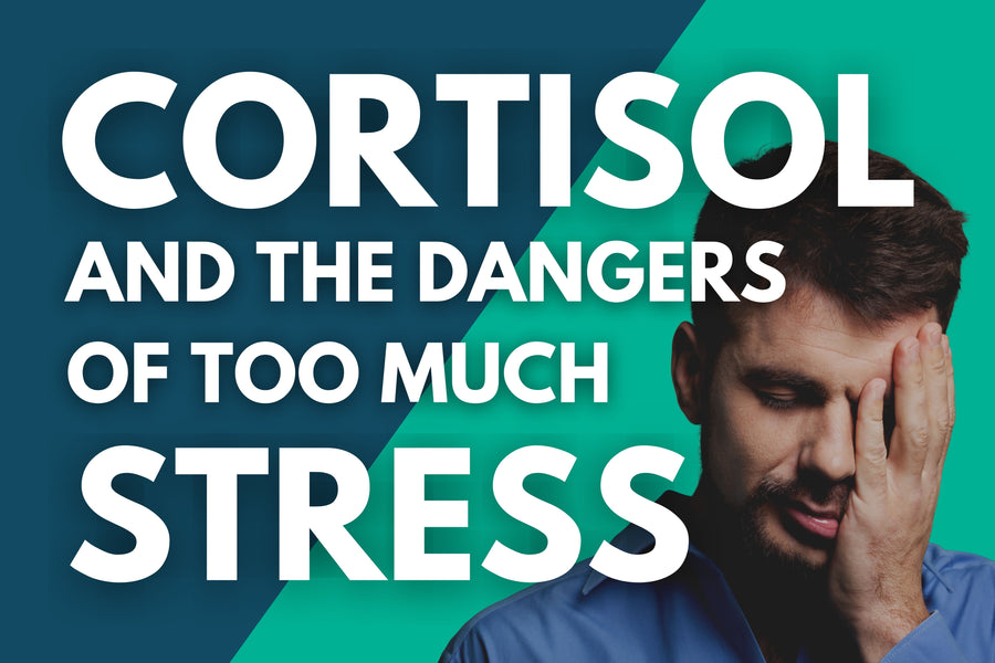 What is Cortisol and the Dangers of Too Much Stress