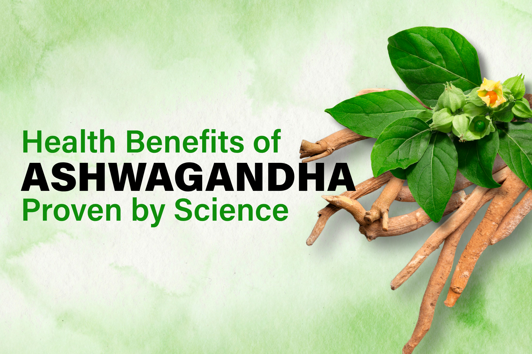 The Truth About Ashwagandha: Benefits & Science