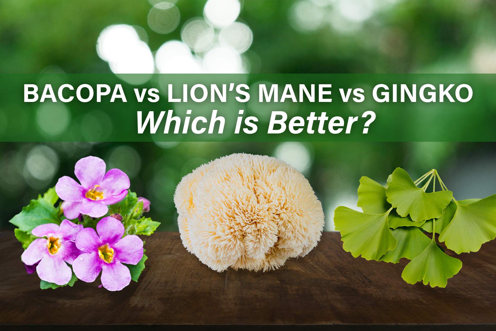 Bacopa monnieri, lion’s mane mushroom, and ginkgo biloba side by side comparison for brain health supplements