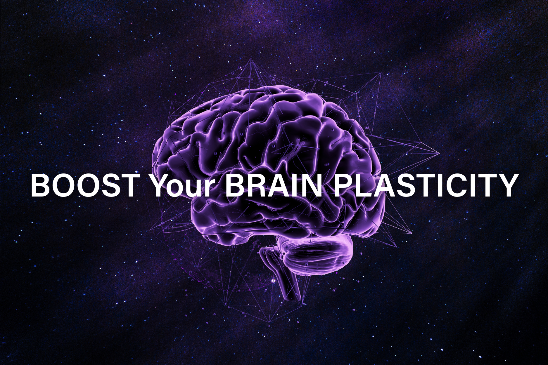 Boost your brain plasticity with healthy choices and learning