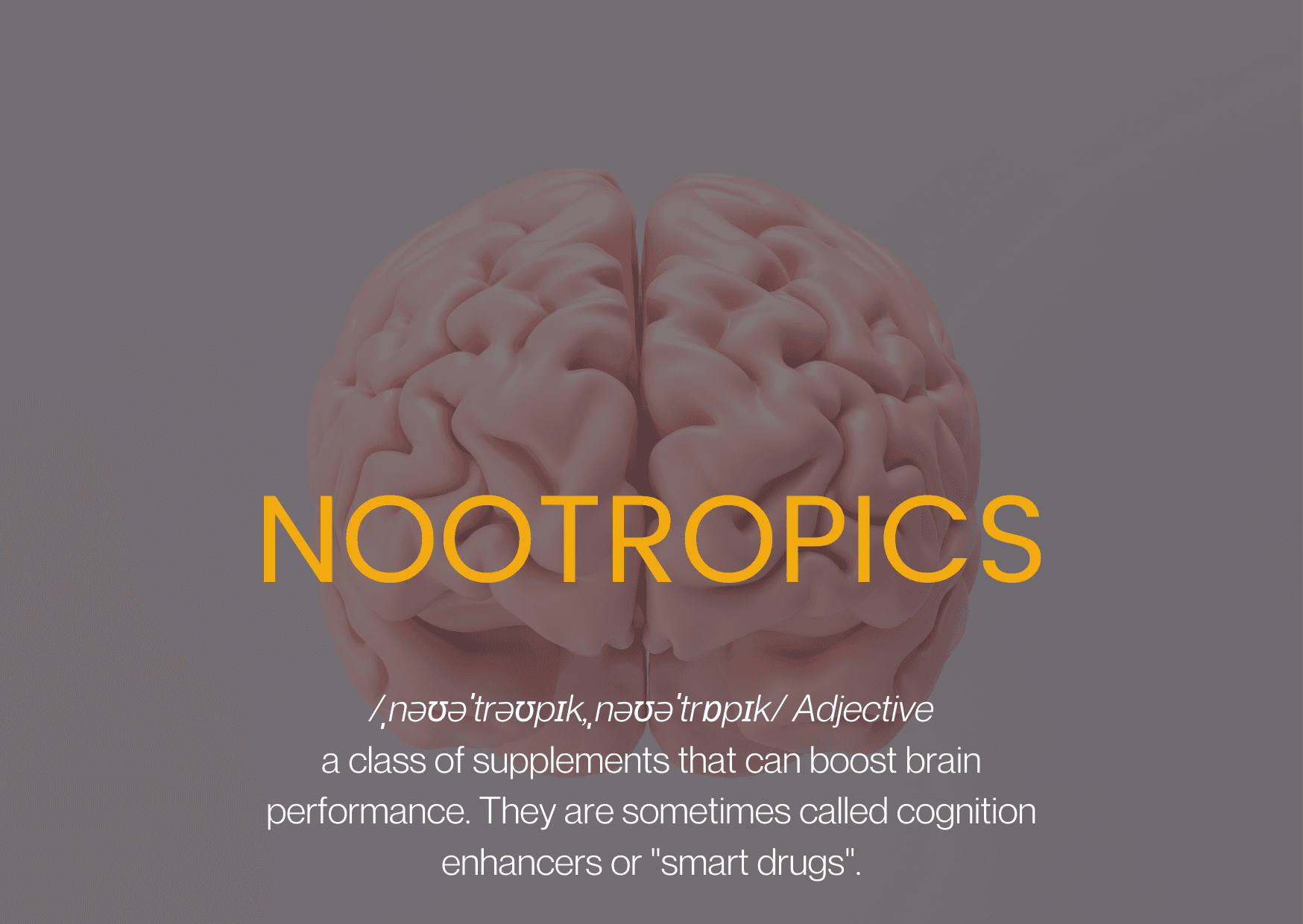 What are Nootropics? - Savvy Beverage
