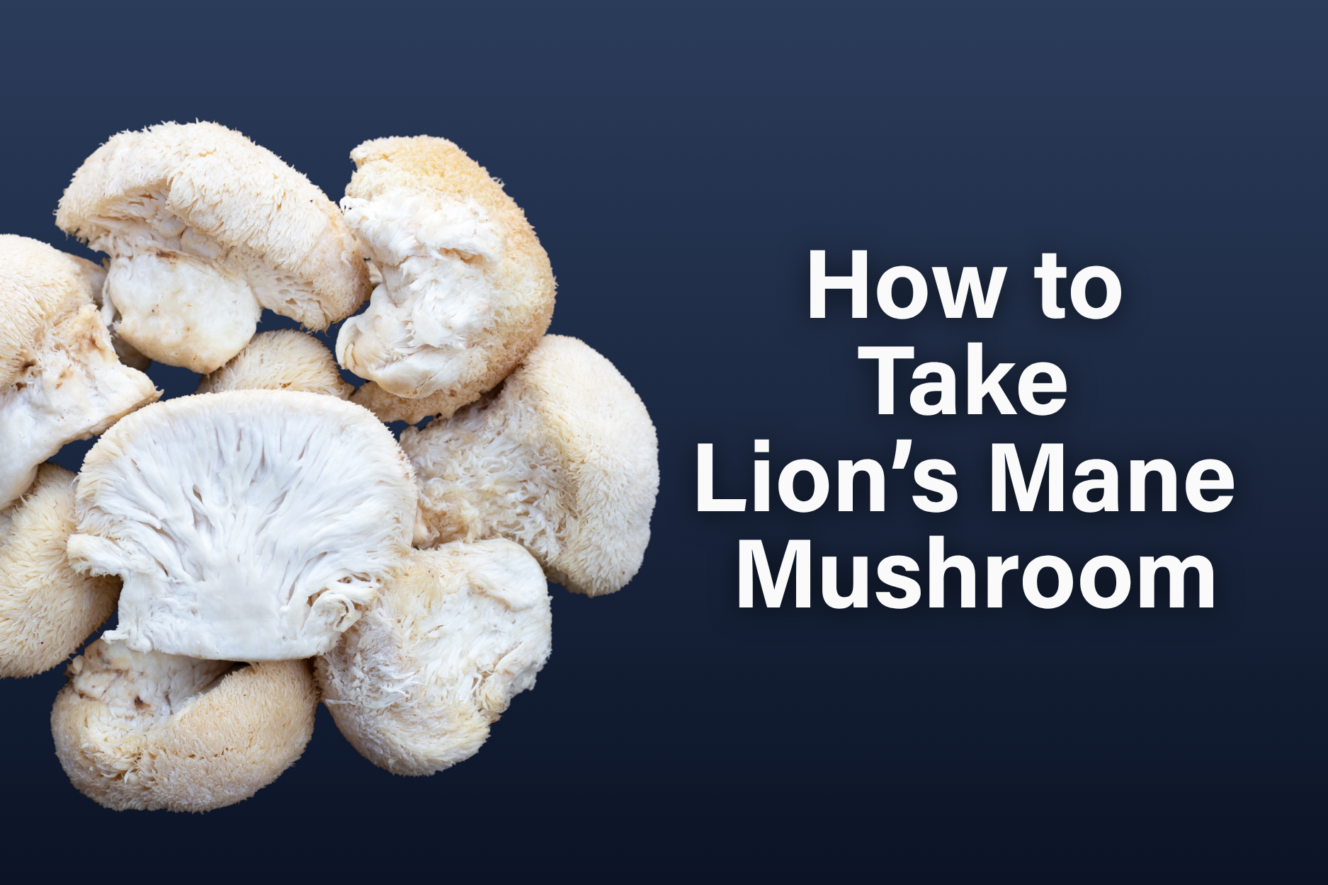Lion’s mane mushrooms with text showing guide on how to take lion’s mane mushroom