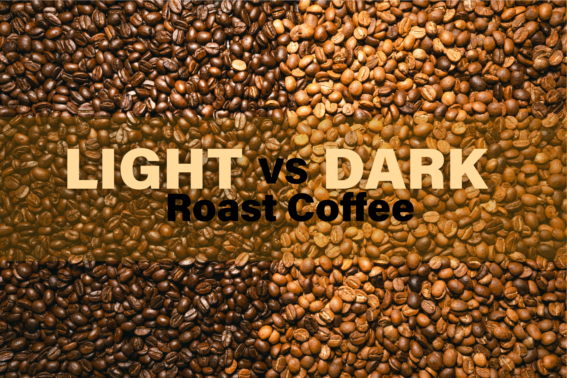 Light roast and dark roast coffee beans displayed side by side
