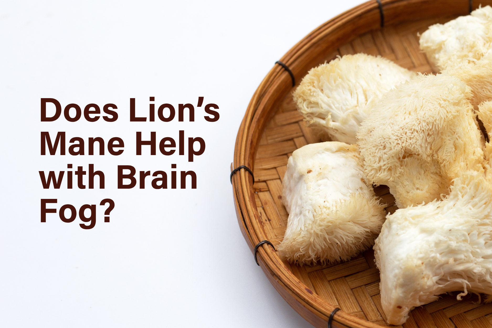 Lion’s mane mushroom in a basket with text asking if it helps with brain fog