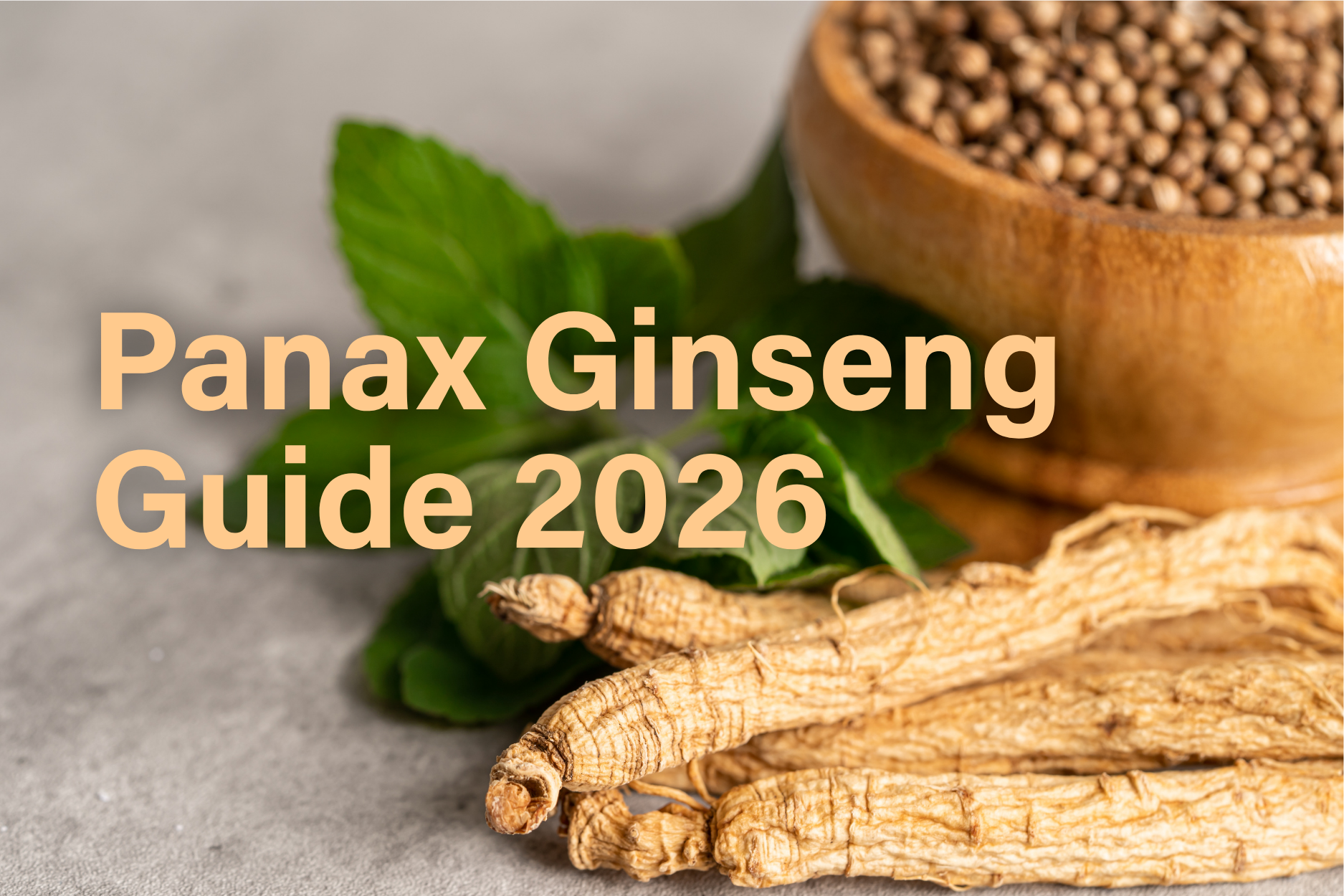 Panax ginseng root used as adaptogen for energy focus and stress support