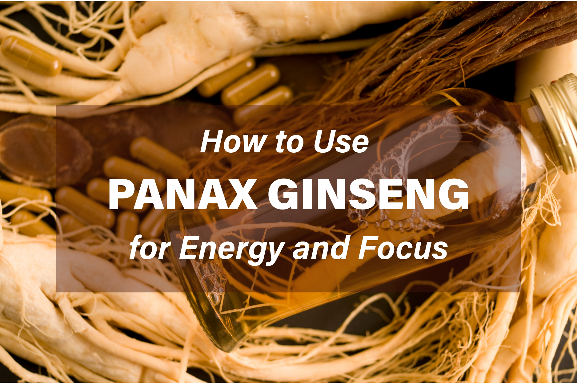 Panax ginseng roots and capsules with liquid extract for energy and focus