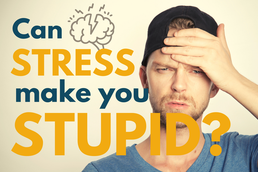 Stress Can Make You Stupid