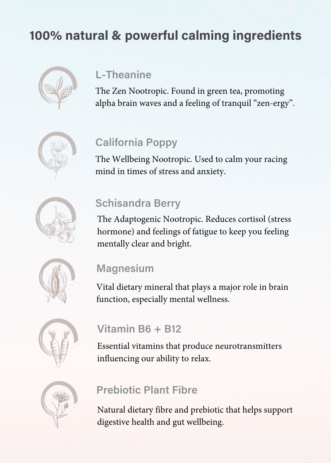 Calm+ Water Functional Mental Health Supplement - Savvy Beverage